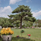Wisconsin / Sand Prairie Cemetery 2 / Hwy 60