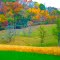 H Frame Power Line Poles