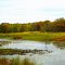 Wisconsin River Marsh
