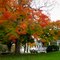 Town Green, Milton, MA
