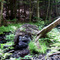 Southford Falls State Park