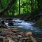 Spring Run
