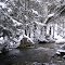 Spring Run in Winter