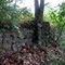 remnants of the old Michigan State Sanatorium