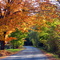 Tilson road