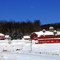 Farm near Morris