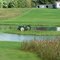Marooned Tractor