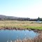 Quiet pond on the old Morris Manor Farm.