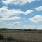 Field before Lewiston Road