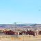 Chinle, Arizona - Usa