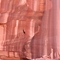 Canyon de Chelly; Rocky cliff & Turkey vulture