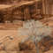 Anasazi ghosts