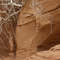 Petroglyphs at Canyon de Chelly