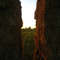 Hay stacks