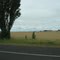 I-5, entre Salem y Corvallis