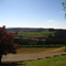 Willamette Valley Vineyards II