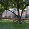 Westfield Center, OH
