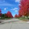 Westfield Colors