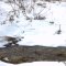 Creek by the tracks