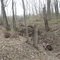 The remains of rural trash disposal