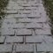 Path