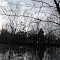 Pond