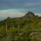 Little Ajo Mountains, SW of Ajo, AZ