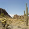 Arizona Desert