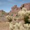 Eroded rocks and teddy bear cholla in the Crater Range near White Tanks