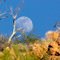 Moonrise in Little Ajo Mountains