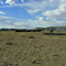 Inside Sun Valley's Petrified Forest Painted Desert
