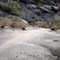 Javelina On the Desert Classic