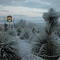 Snow in the morning Tombstone Arizona