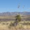 Cochise Stronghold from Gleeson Road