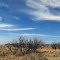Arizona Sky