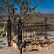 Boot Hill Cemetery, Tombstone, AZ