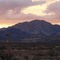 Winchester Mtns, W. of Willcox, AZ