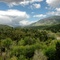 central highlands _ payson, arizona _ apr 29, 2005 _ (© 2008 megart)