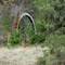 Old water wheel at Second Crossing