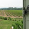 Derrière les volets, les vignes
