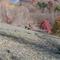 Hill Climb @ Black Desert