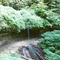 Bridal Veil Falls