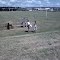 Terrier Races & Polo Field Carliye, Penn