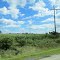 Power Lines