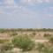 Dust Tornado in Texas