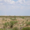 Dust Tornado in Texas