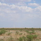 Dust Tornado in Texas