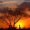 Jourdanton Sunset