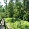 Park bridge