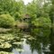 mill pond